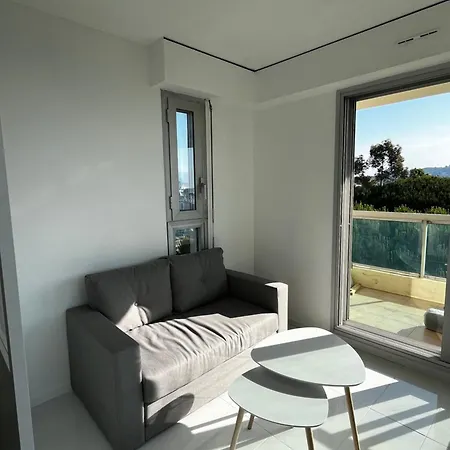 Magnifique Front De A Appartamento Cannes